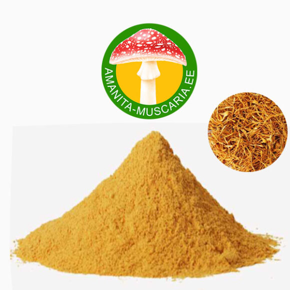 Korditseps pulber (Cordyceps militaris) - (100 gr.)