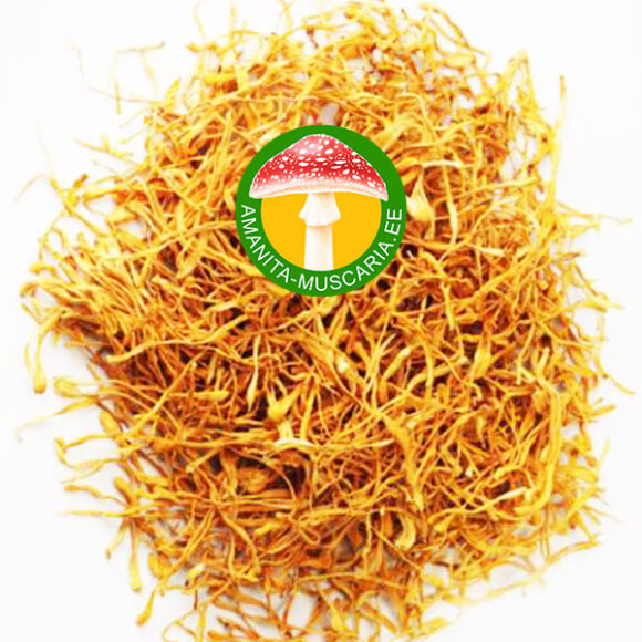 Korditseps (Cordyceps militaris) - (100 gr.)